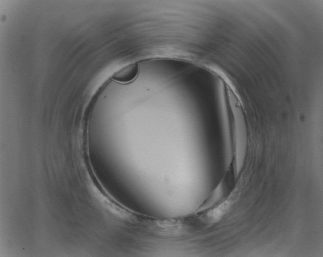 X0000068771147200605011020