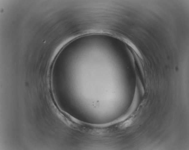 X0000068771148200605011020