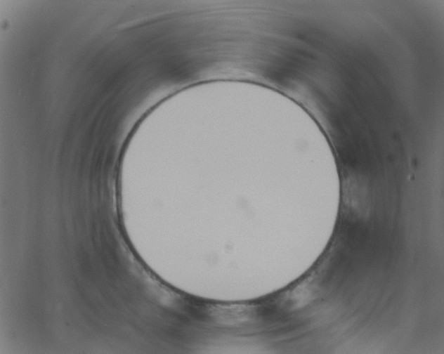 X0000068771150200605011020