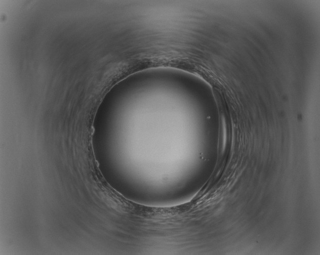 X0000068771153200605011020