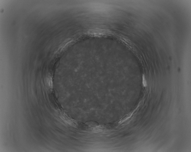 X0000068771155200605011020