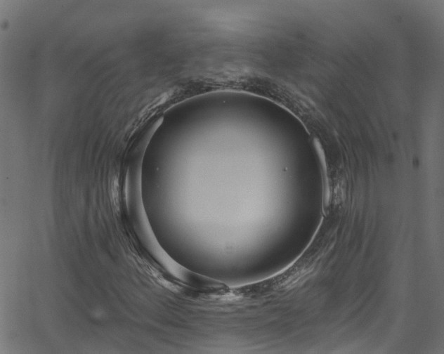 X0000068771156200605011020