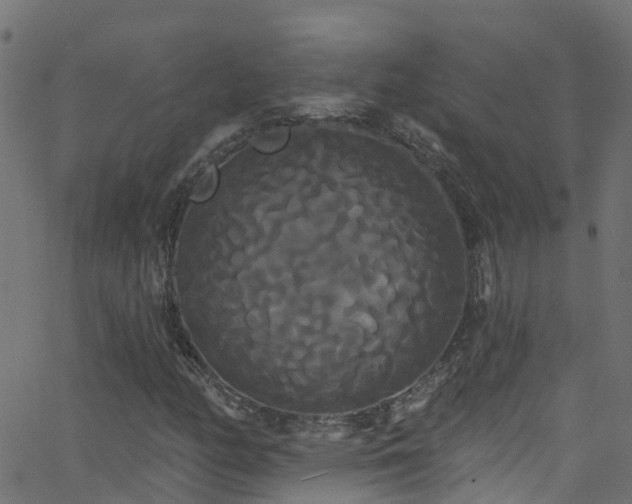 X0000068771158200605011019