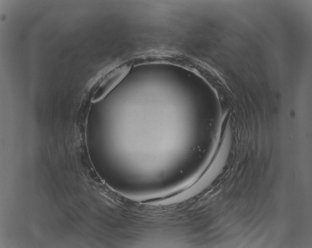 X0000068771160200605011019