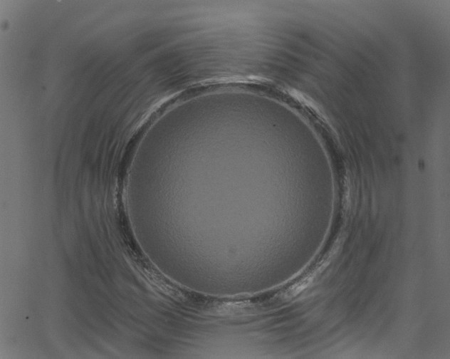 X0000068771161200605011019