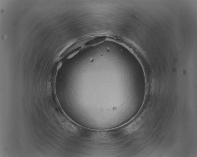 X0000068771162200605011019