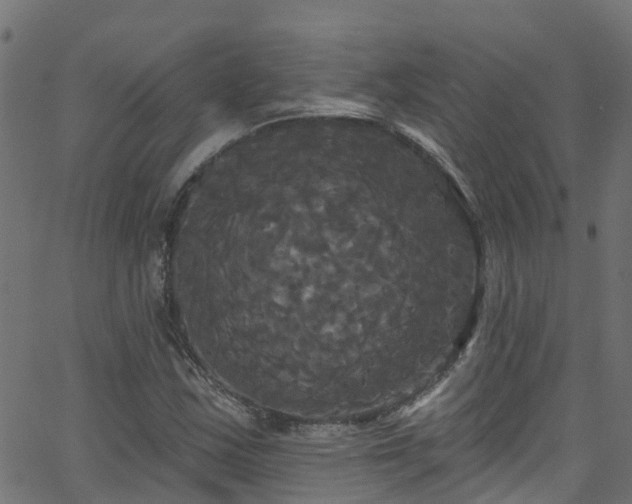 X0000068771163200605011019