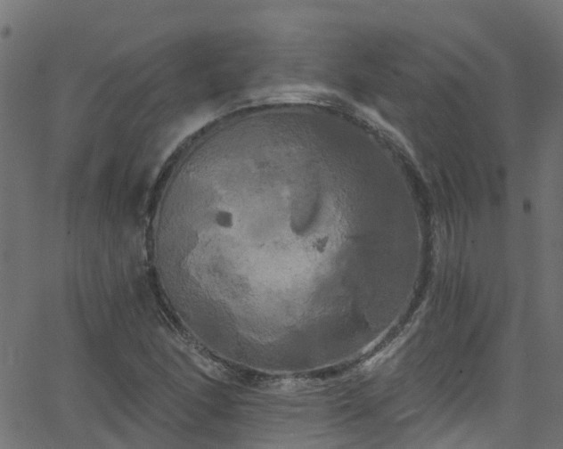 X0000068771166200605011019