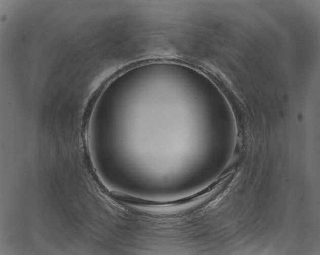 X0000068771168200605011019