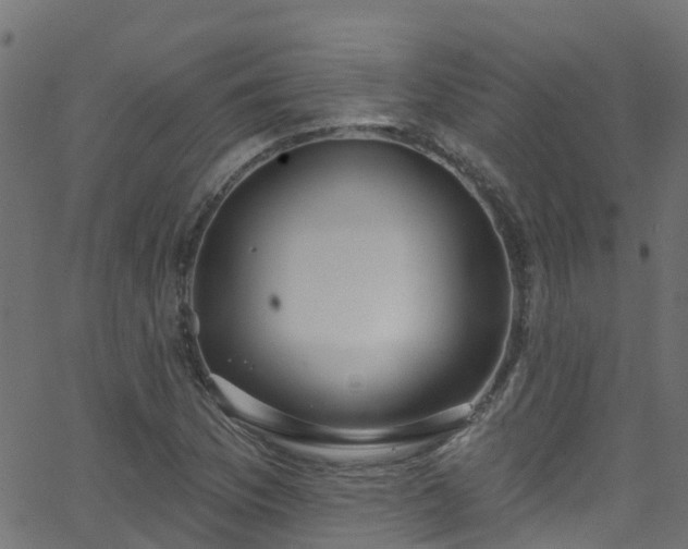 X0000068771169200605011019