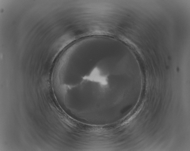 X0000068771170200605011019