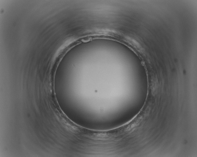 X0000068771172200605011019