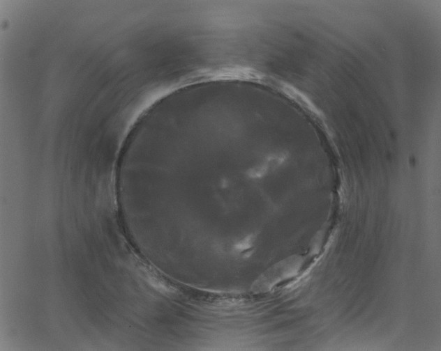 X0000068771174200605011019