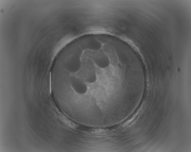 X0000068771175200605011019