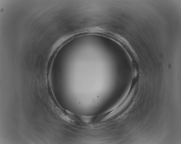 X0000068771176200605011019