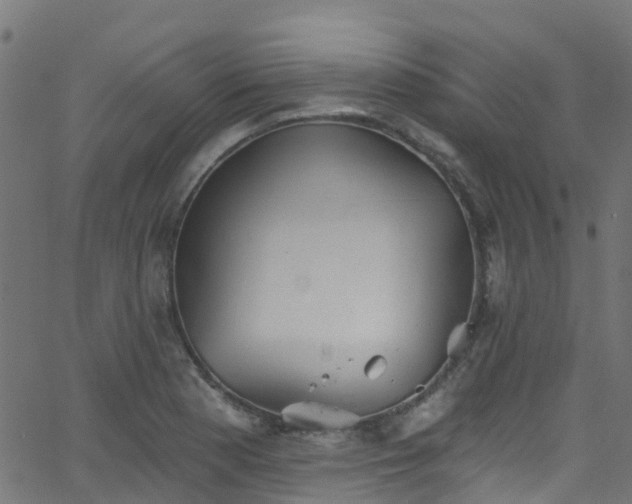 X0000068771177200605011019