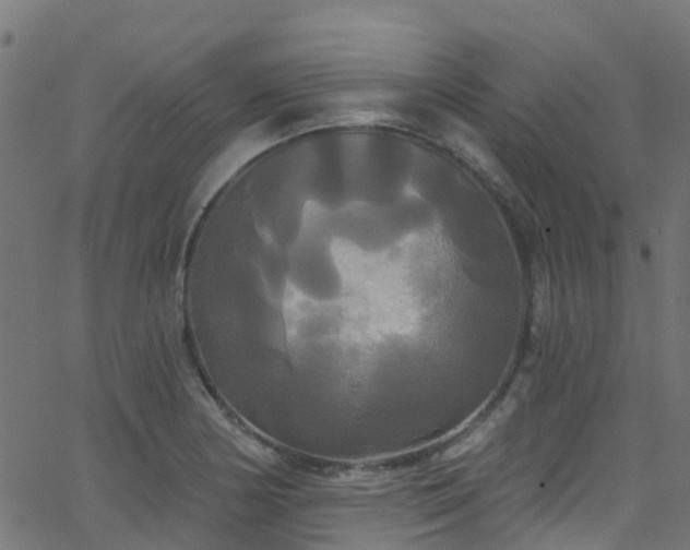 X0000068771178200605011019