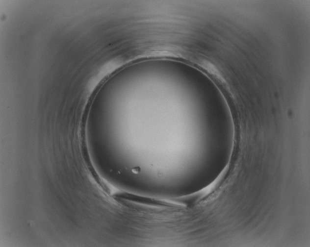 X0000068771181200605011019