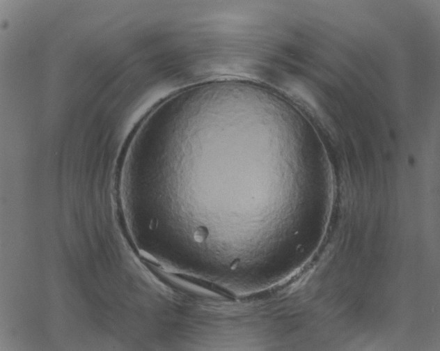 X0000068771182200605011019