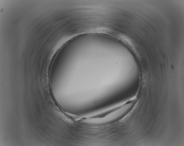 X0000068771184200605011019