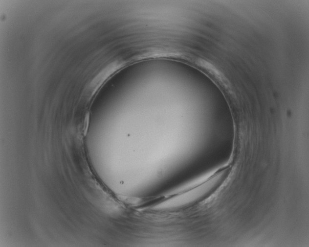 X0000068771185200605011019