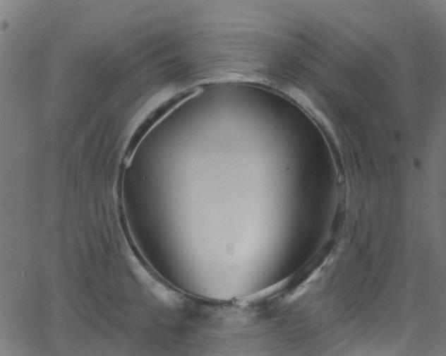 X0000068771189200605011019