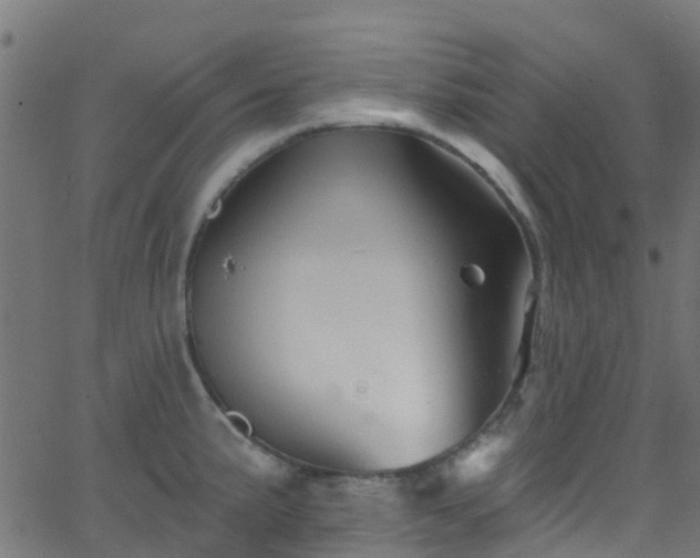 X0000068771191200605011019