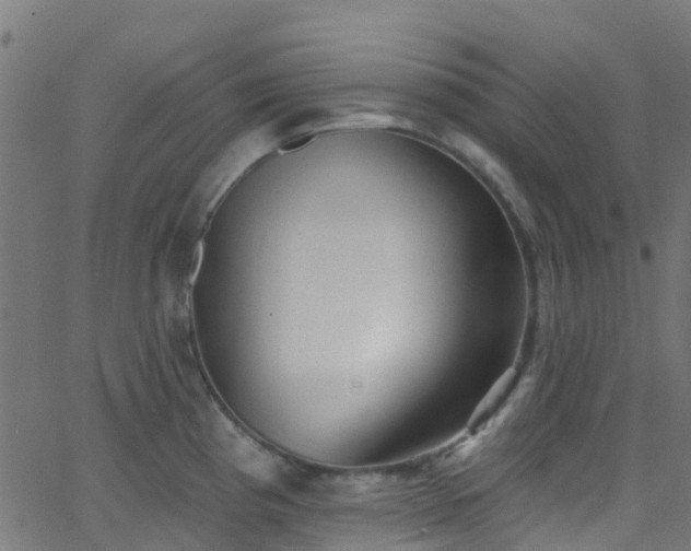 X0000068771193200605011019