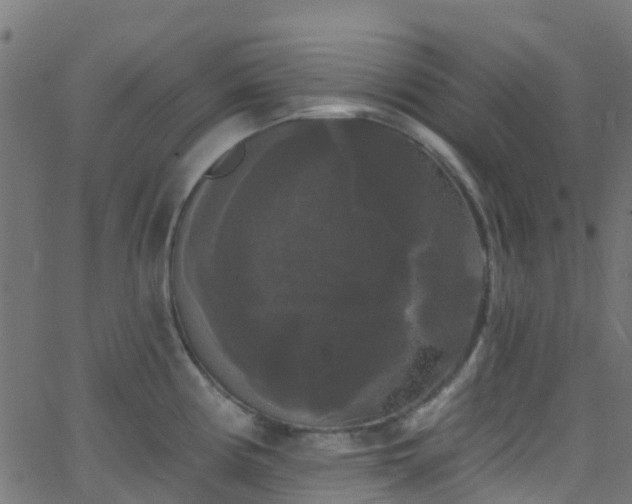 X0000068771194200605011019