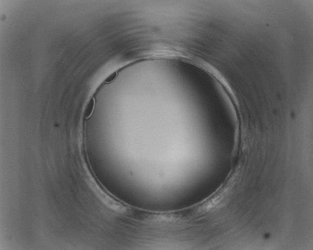 X0000068771195200605011019