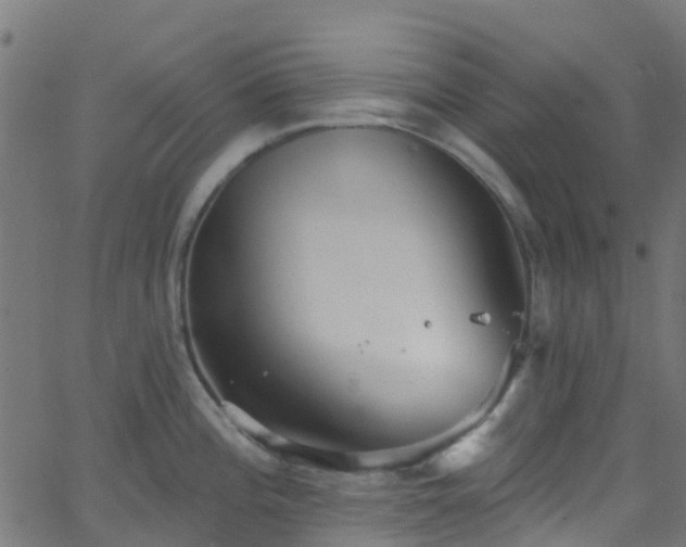 X0000068771196200605011019