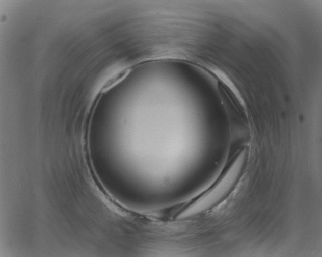 X0000068771197200605011019