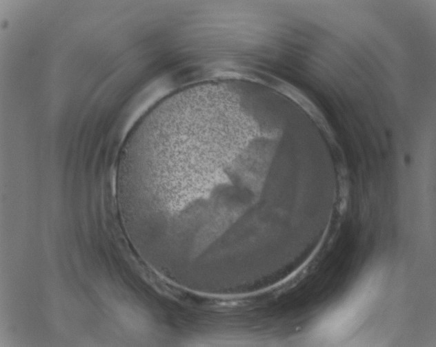 X0000068771198200605011019