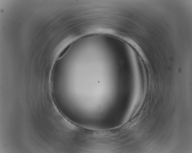 X0000068771199200605011019