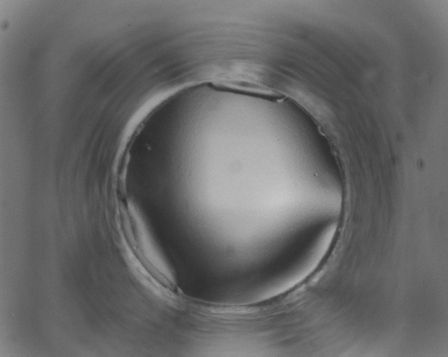 X0000068771200200605011019