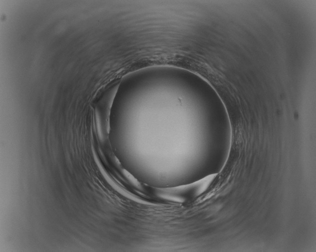 X0000068771202200605011018