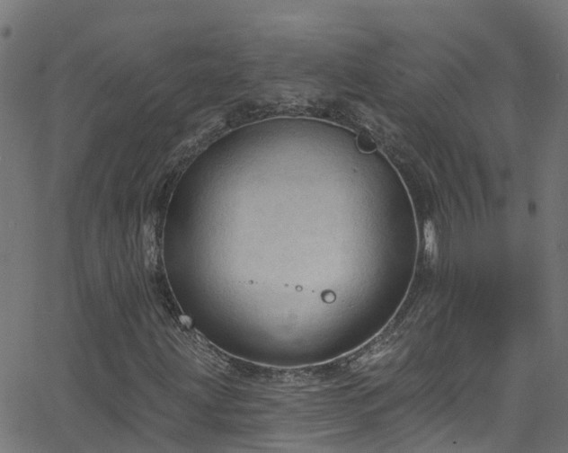 X0000068771203200605011018