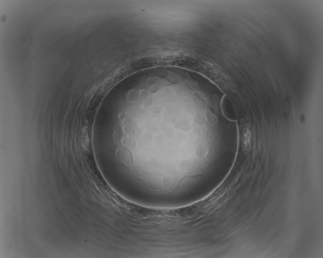 X0000068771204200605011018