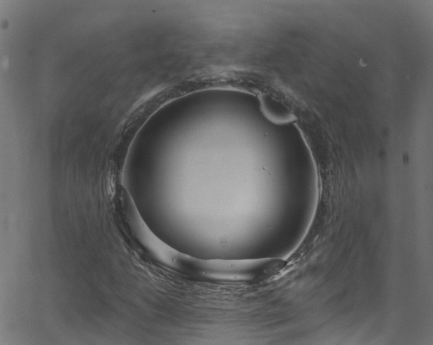 X0000068771206200605011018