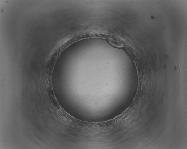 X0000068771207200605011018