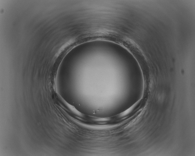 X0000068771210200605011018