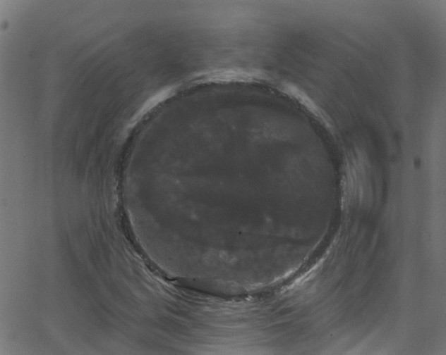 X0000068771213200605011018