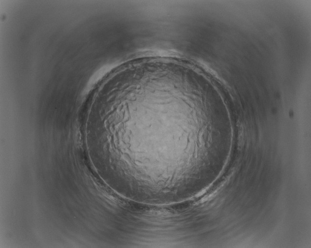 X0000068771215200605011018