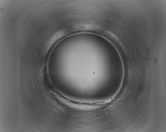 X0000068771218200605011018