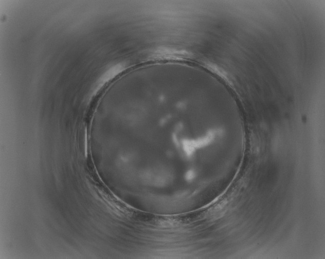 X0000068771219200605011018