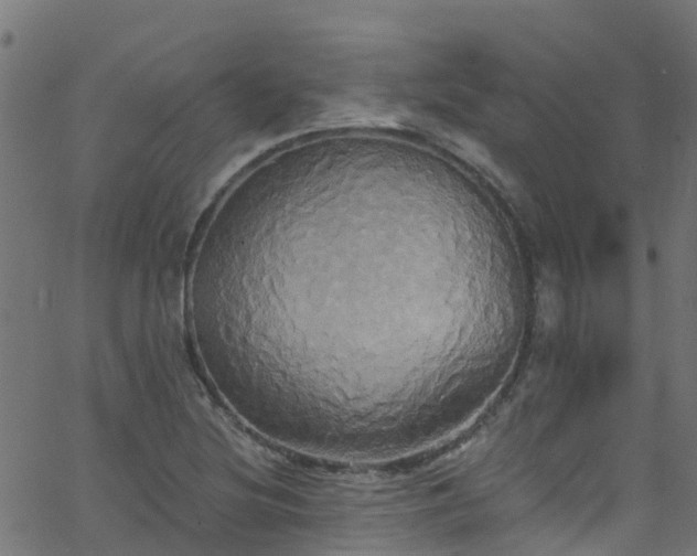 X0000068771220200605011018