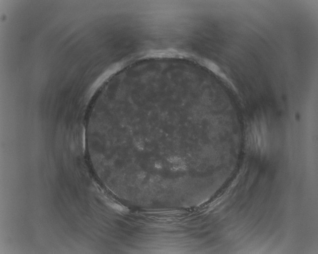 X0000068771221200605011018