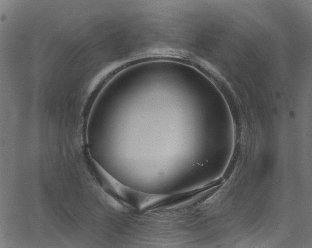 X0000068771222200605011018