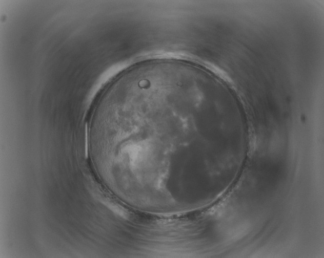 X0000068771223200605011018