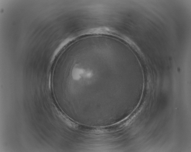 X0000068771224200605011018